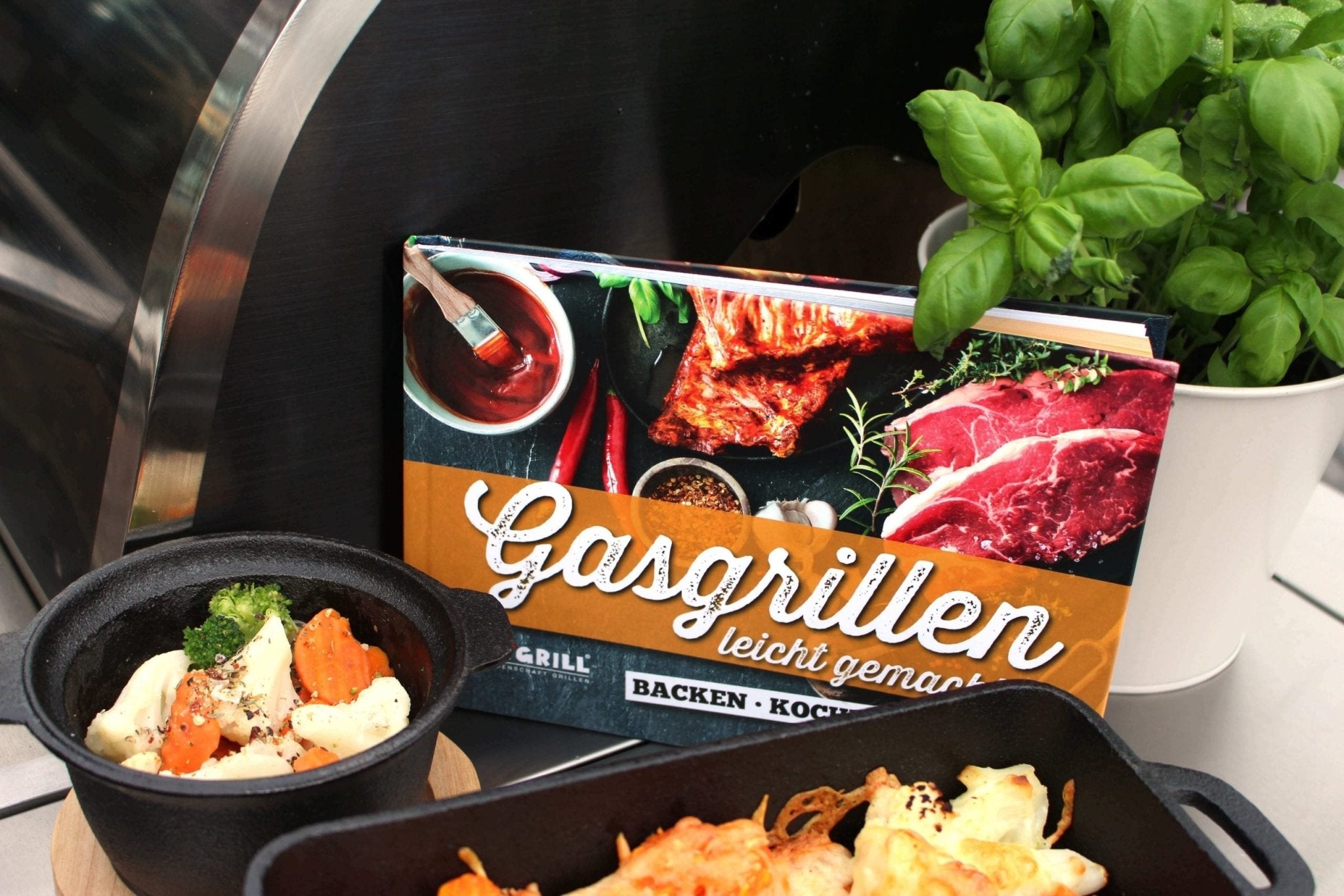All'Grill Buch "Gasgrillen leicht gemacht" - grillstarshop.comAll'Grill Buch "Gasgrillen leicht gemacht"ALL'GRILLgrillstarshop.com8884041571008886