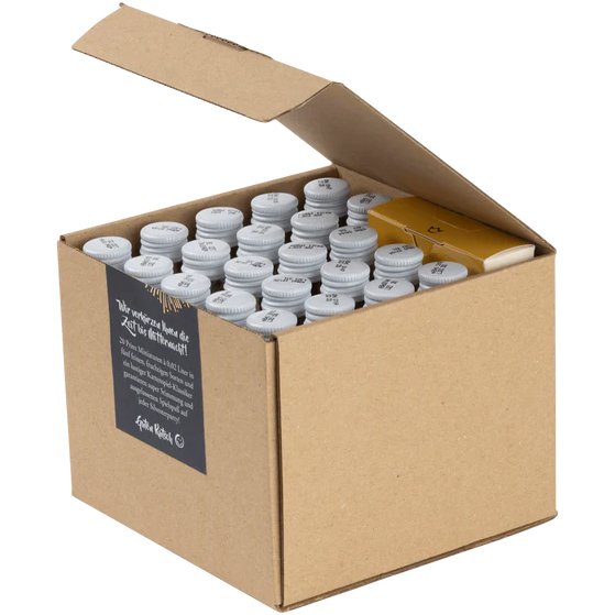 Prinz Silvester Kracher - grillstarshop.comPrinz Silvester KracherPrinzgrillstarshop.com60304
