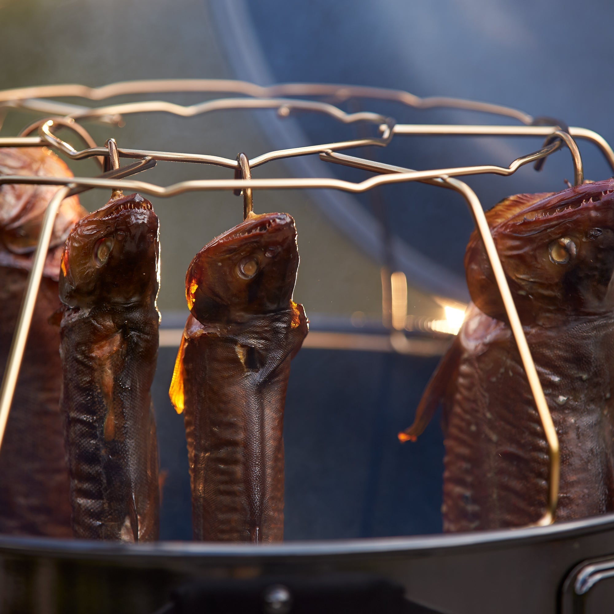 Rösle Räucherhaken für Smoker, 6Stk. - grillstarshop.comRösle Räucherhaken für Smoker, 6Stk.Röslegrillstarshop.com259284004293259288