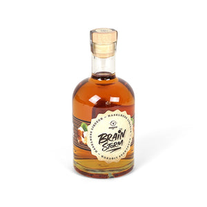 Moesta Brainstorm Haselnuss (500ml) - grillstarshop.comMoesta Brainstorm Haselnuss (500ml)Moestagrillstarshop.comMO193070799733292591