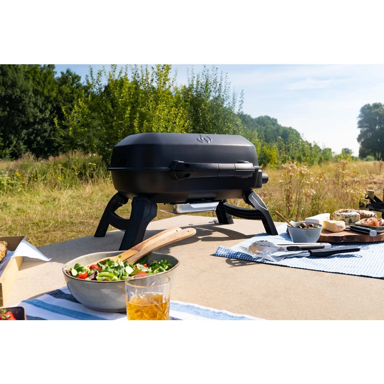 Napoleon TravelQ 240, Camping - Gasgrill, klappbar in schwarz - grillstarshop.comNapoleon TravelQ 240, Camping - Gasgrill, klappbar in schwarzNapoleongrillstarshop.comTQ240 - BK - DE0629162147882