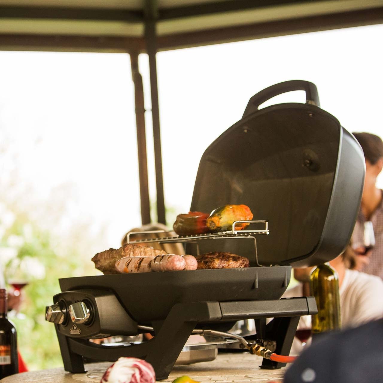 Napoleon TRAVELQ PRO285 - grillstarshop.comNapoleon TRAVELQ PRO285Napoleongrillstarshop.comPRO285 - BK0629162119261