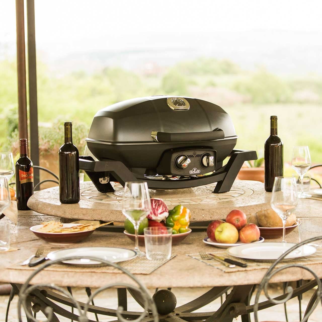 Napoleon TRAVELQ PRO285 - grillstarshop.comNapoleon TRAVELQ PRO285Napoleongrillstarshop.comPRO285 - BK0629162119261