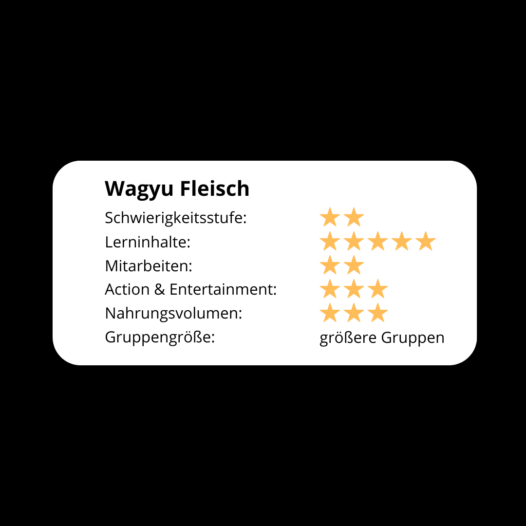 Wagyu Fleisch! Das Rindfleisch Seminar - grillstarshop.comWagyu Fleisch! Das Rindfleisch Seminargrillstarshop.comgrillstarshop.com